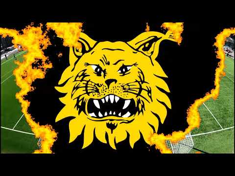 P15 Liiga Ilves - HJK (15.4.2023) / Niilon tilanteet