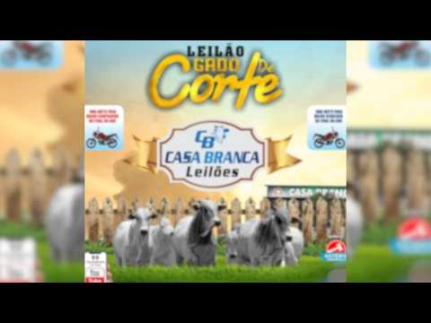 LEILÃO GADO DE CORTE CASA BRANCA LEILÕES -  CAMPINORTE - GO  11 /06 / 2026