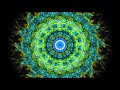 The Pathless Path -Meditation #5 (15 minutes) - Observe the Field of Change, Let Energy Circulate