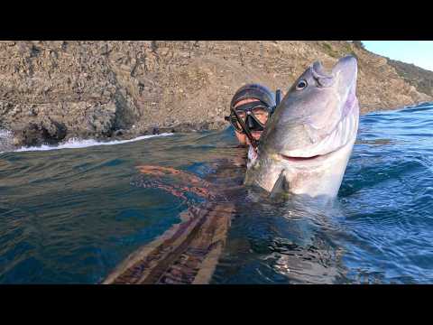 Pesca Sub: "Il cantico del mulinello"