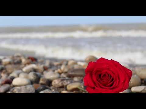 Duch Sväty sa dnes zjavuje (jks 218)