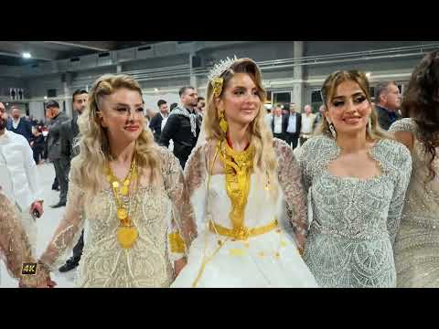 Hakim Lokman / Hemdiye & Mahsum /Aslan Deko/Part10/ #DilocanPro #Hochzeit #Wedding #Kurdish #Dilocan