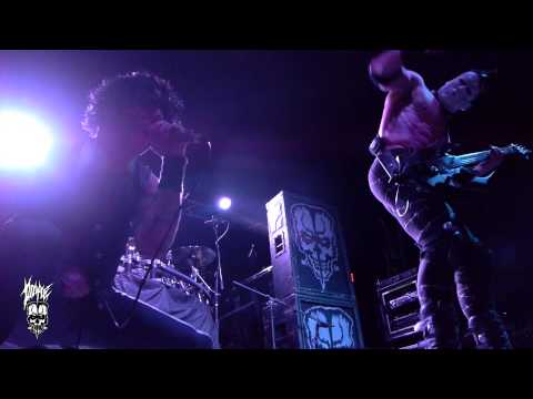 Doyle  - Hybrid Moments LIVE