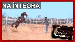 Miniatura do vídeo