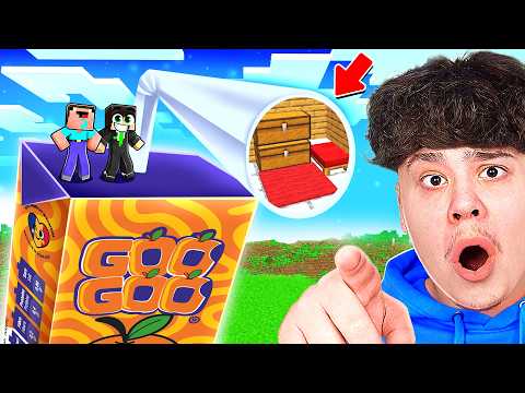 CE SE AFLA IN GOO GOO ?