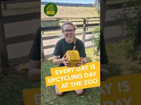 Every Day is Upcycling Day at the Zoo