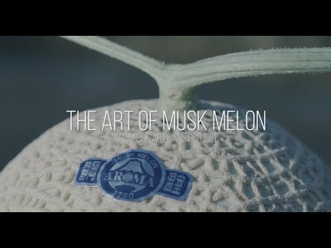 Japan Curator Artisans Project - The Master of Musk Melon