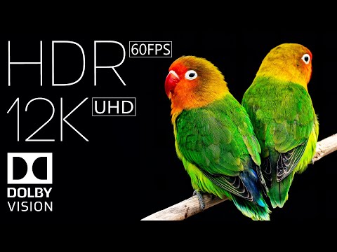 12K HDR 60fps | Dolby Vision | True Cinematic Video