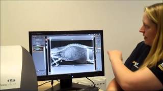 Carestream Veterinary Image Suite Software Step by Step Users Guide