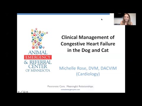 Clinical Management of Congestive Heart Failure in the Dog and Cat