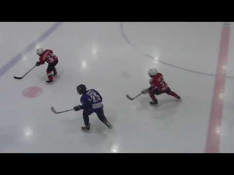 HC Vipers Red U10 - Narva PSK U10  6:0 (2:0,2:0,2:0) 16.09.2017