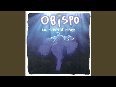 Videoclip de Noir slam (Live) — Pascal Obispo