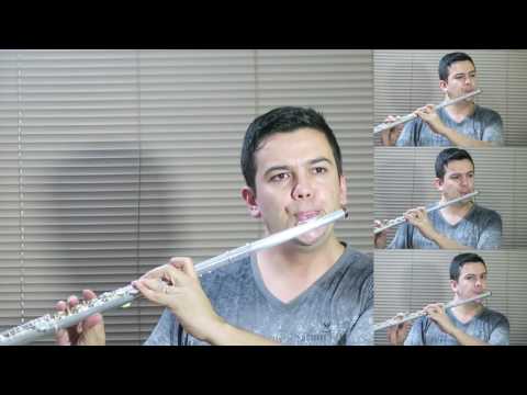 HINO 55 - PAZ SEJA EM VÓS - CCB - FLAUTA TRANSVERSAL