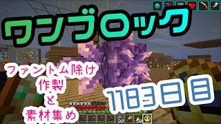 【１１８３日目】ワンブロックでハードコアな世界を生き残る