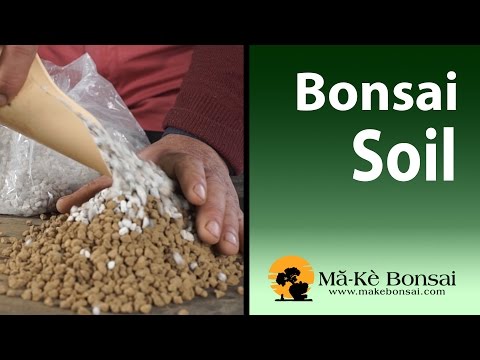 How to make bonsai tree Soil Mix