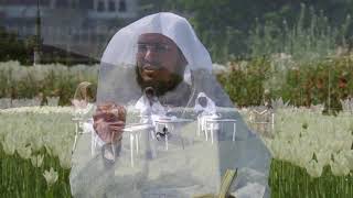 صورة كمال الشريعة في قبول التوبة