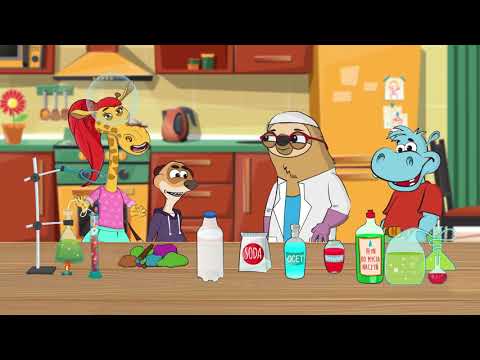 Hibbi - Doświadczenia