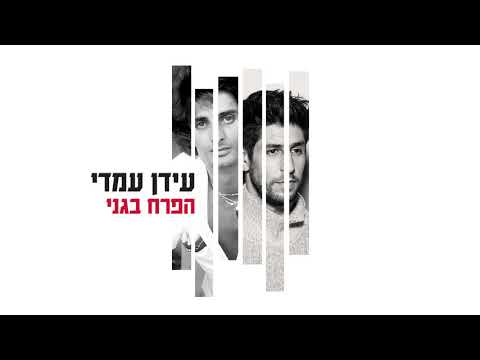 Idan Amedi