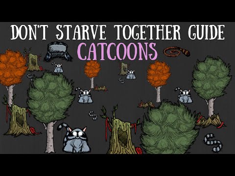 Don't Starve Together Guide: Catcoons