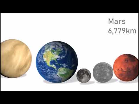 Got Balls (Remastered Tribute)