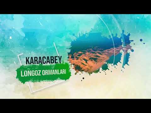 Karacabey Longoz Ormanları
