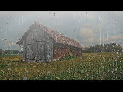 Sonido de Lluvia y Truenos en el Campo - Lluvia para Dormir en Casa de Madera - Duerme en 7 Minutos