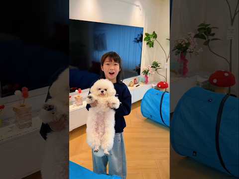 She Sent the Cat Into the Pipe… Then It Vanished!