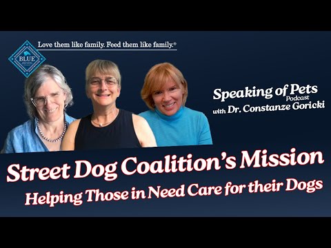 Street Dog Coalition's Mission of Helping People & Their Pets | SOP ep. 26 - Dr. Constanze Goricki