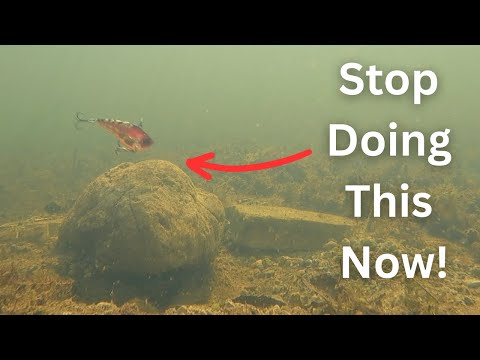 Catch 10X more Bass with these Lipless Crank Retrieves