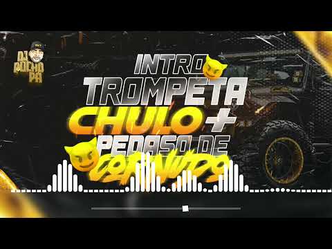 INTRO TROMPETA CHULO 2 + PEDASO DE CORNUDO RKT - DJ PUCHO PA