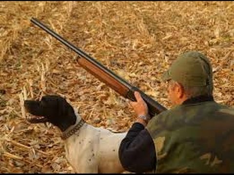 Tv7 con Voi del 25/02/2015 - La questione Veneta (3 di 3)