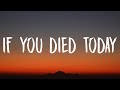 Natalie Jane If You Died Today Lyrics