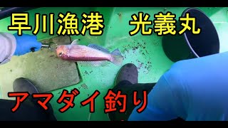 早川漁港　光義丸