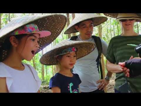 Hideaway Laos tour video