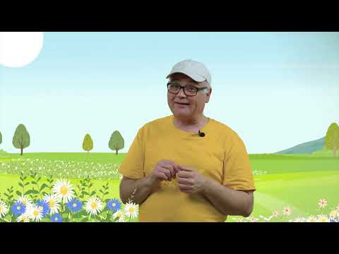 Episodju Nru 133  – L-insetti