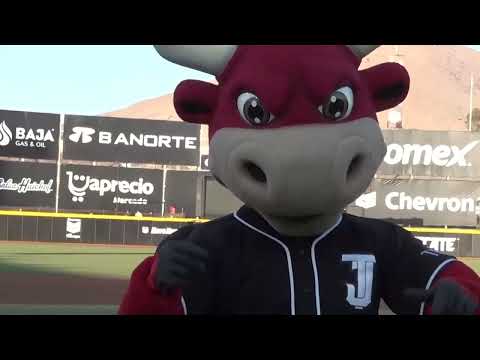 Estamos en Playoffs 2021