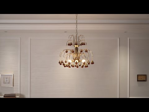Video 6