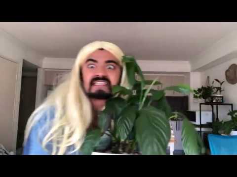 White Girls in their 20s