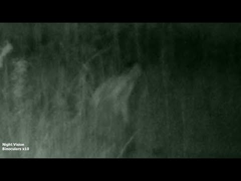 scariest video ever recorded.