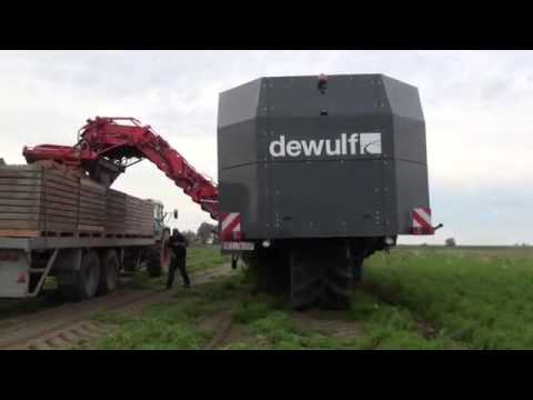 Amazing machines all modern agricultural||Dewulf ZKIV 4 row self propelled carrot harvester Low||