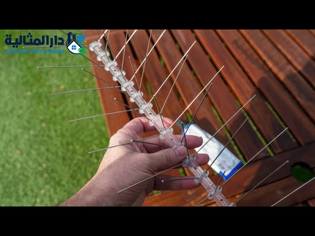 شركة تركيب طارد الحمام بالخبر
