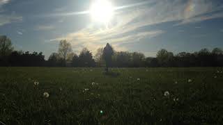 not over this crush: a tessa violet mashup by lemonymoll