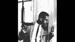 by any means necessary (2010)