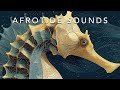 Afro Jazz Groove Tropical Highlife Funk Tribal Rhythm Journey