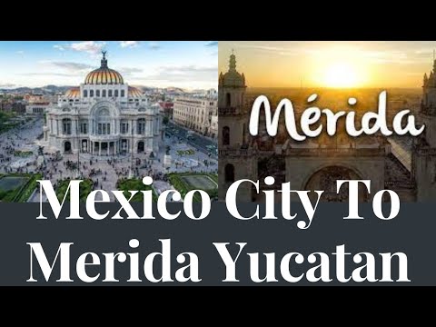 Our 18 Hour Long Road Trip From Mexico City To Merida Yucatan!! View These Stunning Views NOW!!