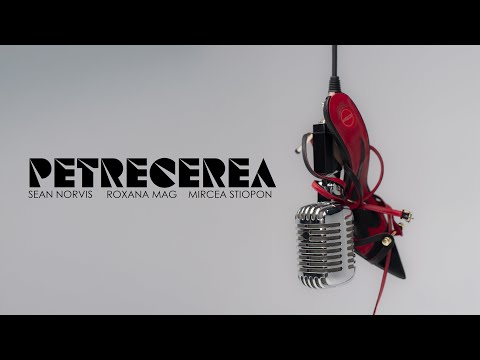 ROXANA MAG - Petrecerea 🥂 The Remix by Sean Norvis w. Mircea Știopon