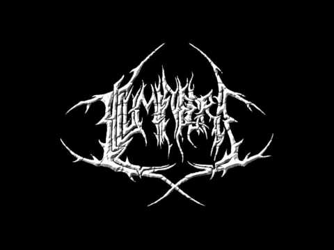 Illuminegra -  Mad Science