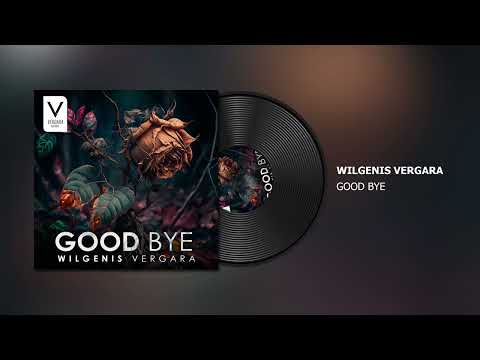 Wilgenis Vergara - Good Bye #afrohouse #dance #2023
