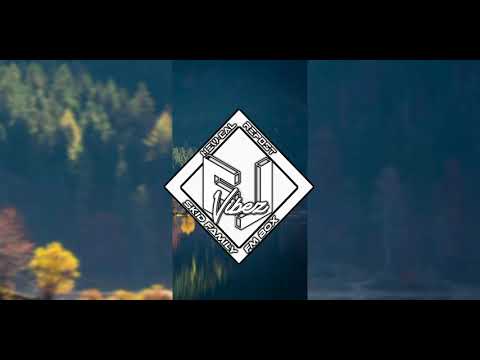 LOCKSIDE SVG  ✖ WHISKY COLA ✖ STYLE DEM ✖ HB SILAKAUAHAKI ✖ MIX 2021 #FlViBeZ #FMBOX #Skid_Family