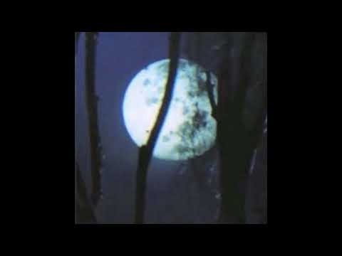 *free* guitar type beat - "euro" | lil tracy type beat